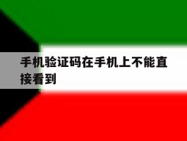手机验证码在手机上不能直接看到