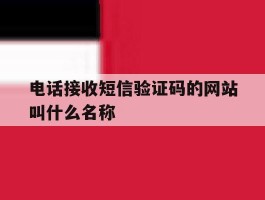 电话接收短信验证码的网站叫什么名称