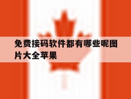 免费接码软件都有哪些呢图片大全苹果