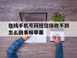 在线手机号码短信接收不到怎么回事呀苹果