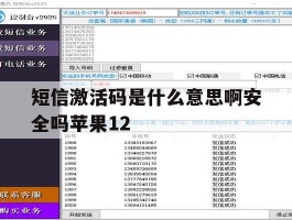 包含短信激活码是什么意思啊安全吗苹果12的词条
