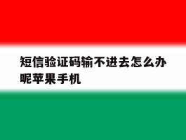 短信验证码输不进去怎么办呢苹果手机
