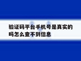 验证码平台手机号是真实的吗怎么查不到信息
