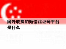 国外收费的短信验证码平台是什么