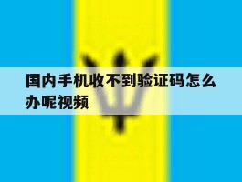 国内手机收不到验证码怎么办呢视频