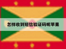 怎样收到短信验证码呢苹果
