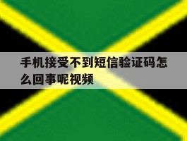 手机接受不到短信验证码怎么回事呢视频