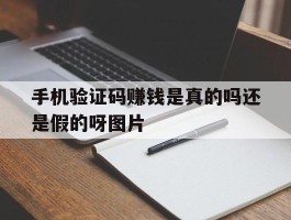 手机验证码赚钱是真的吗还是假的呀图片