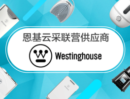美国云接码